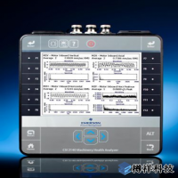 電機(jī)發(fā)生異常振動(dòng)的原因(發(fā)電機(jī)振動(dòng)監(jiān)測(cè))